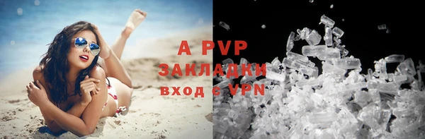 гидра Алексин