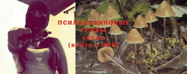 гидра Алексин